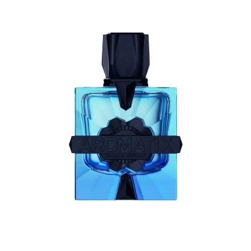 Tester - French Avenue - Aromatix Blue Magnetiq Extrait De Parfum Unisex 100ML - טסטר - ארומטיקס בלו מגנטיק אקסטרייט דה פרפיום יוניסקס 100 מ"ל - פרנץ' אבניו