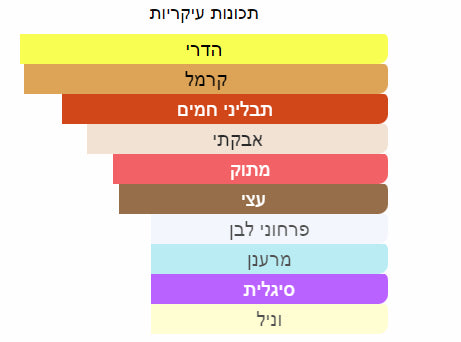 נויה ספרון דרימס א.ד.פ יוניסקס 100 מ”ל Noya - Saffron Dream - pharm2u 