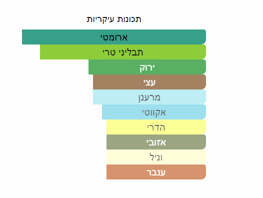 נויה דה סמוקי אמבר בושם יוניסקס א.ד.פ 100 מ”ל Noya - The Smoky Amber - pharm2u 