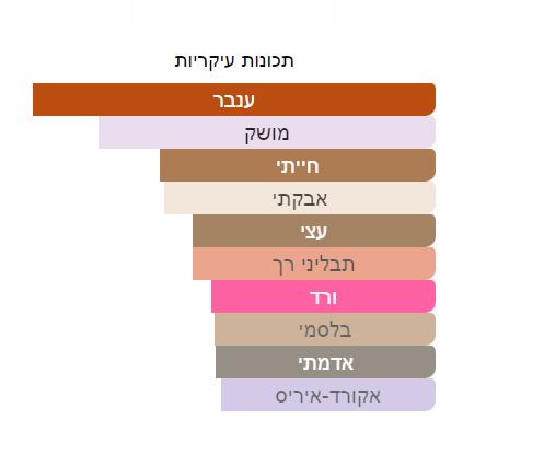 נויה דה ולווטי מאסק בושם יוניסקס א.ד.פ 100 מ”ל Noya - The Velvety Musk - pharm2u 