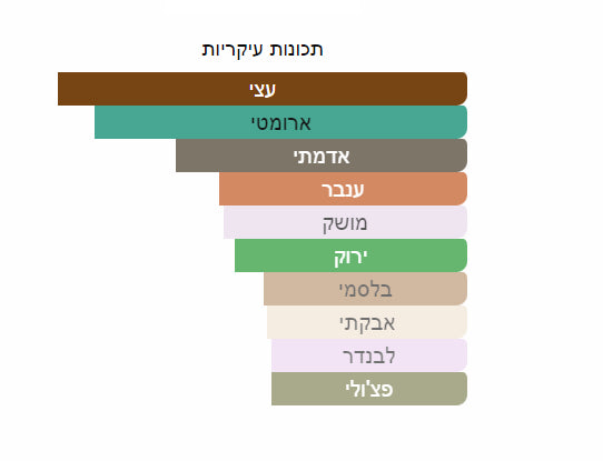 נויה 5 סנסס 6 דיירקשנס בושם יוניסקס א.ד.פ 100 מ”ל Noya - 5 Senses 6 Directions