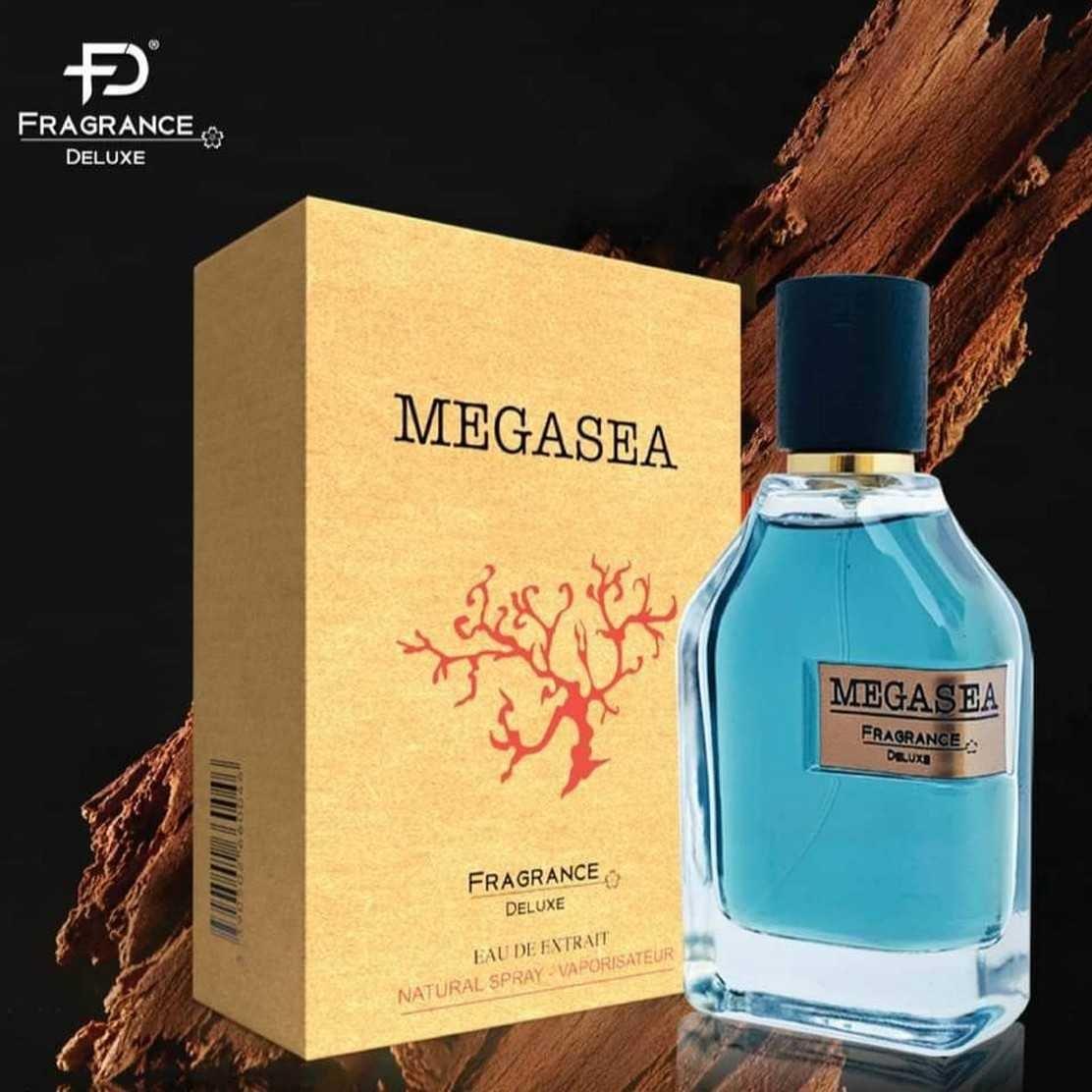 בשמי דיופ - Fragrance Deluxe Megasea EDP 75 Ml פרגרנס דלוקס מגה סיי בושם לגבר