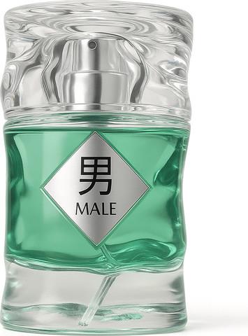 Japan Unique Male EDP 100ml יפן יוניק מייל בושם יוניסקס - pharm2u