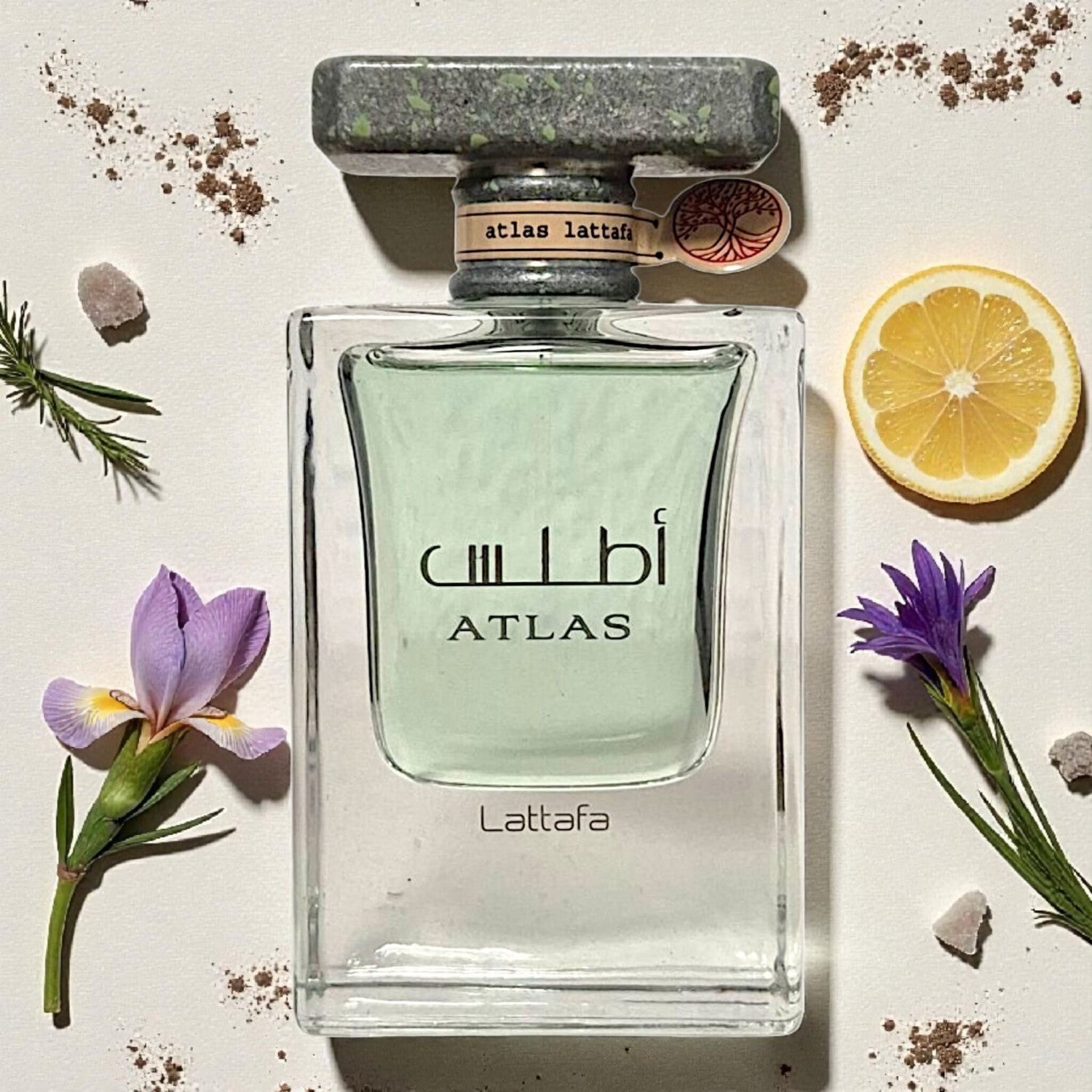 Lattafa Atlas EDP 55ml לטאפה אטלס בושם יוניסקס - pharm2u 