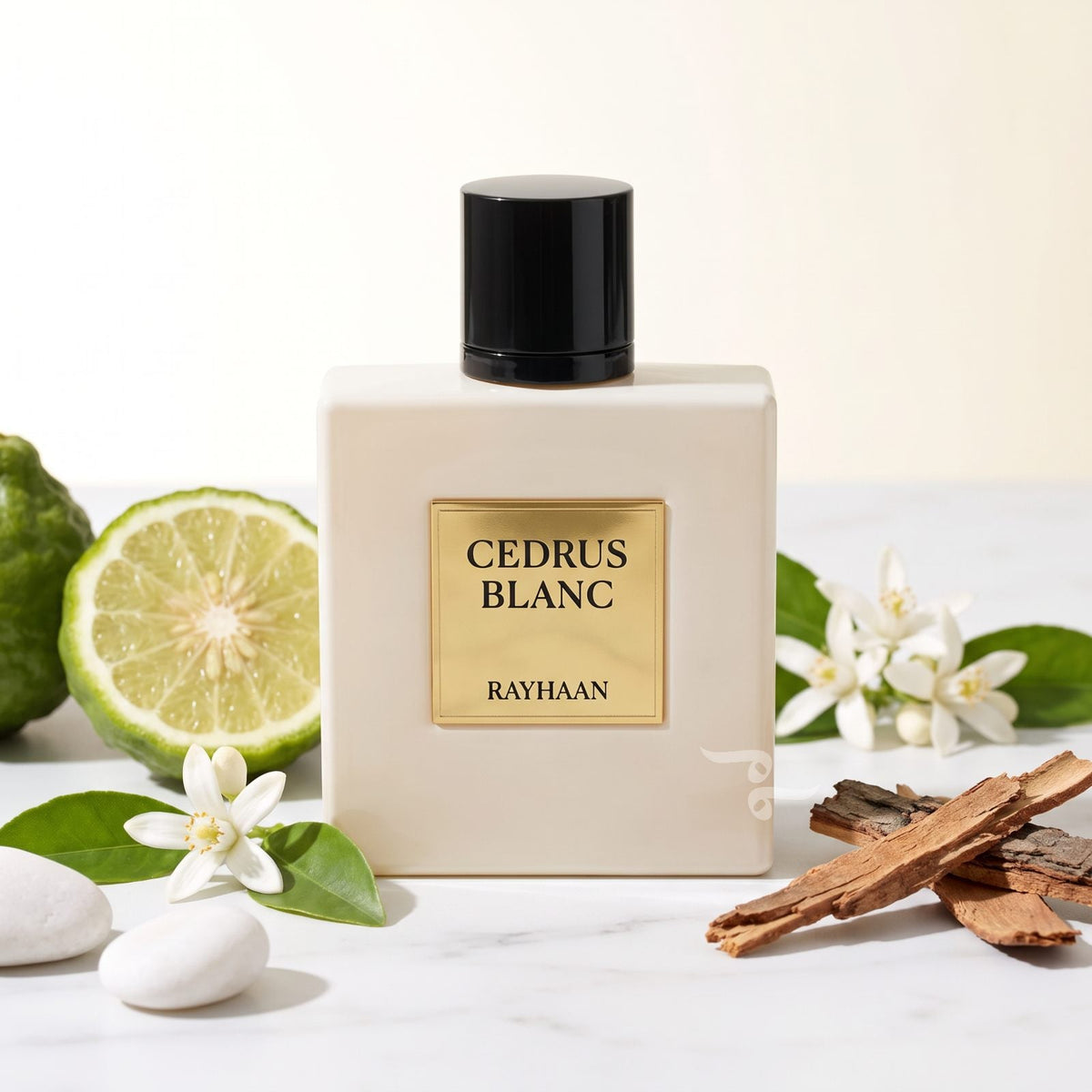 Rayhaan cedrus blanc EDP 100ml רייהאן סדרוס בלאנק בושם יוניסקס - pharm2u