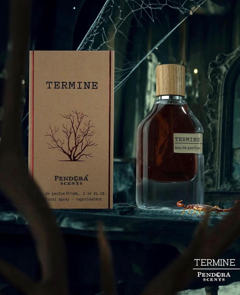 Termine Fragrance World EDP 100ml טרמינה פרגרנס וורלד בושם יוניסקס - pharm2u 