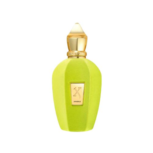 Tester - Xerjoff - V Amabile EDP Unisex 100ML - טסטר - וי אמאביל אדפ יוניסקס 100 מ''ל - קסרג'וף - pharm2u 
